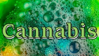 Cannabis