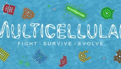 Multicellular