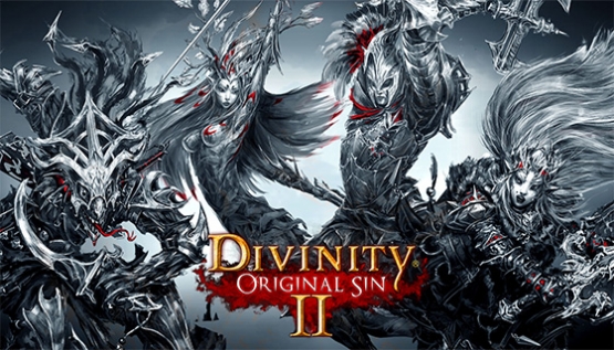 Divinity: Original Sin II