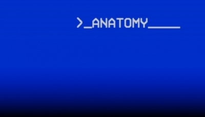 Anatomy