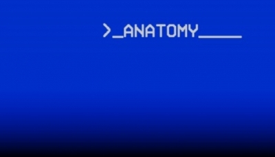 Anatomy