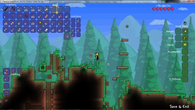 Terraria glitches