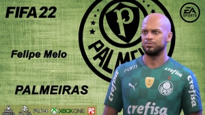 The fierce Felipe Melo