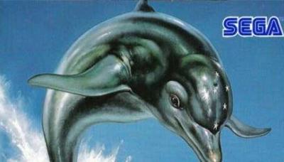 Ecco the Dolphin