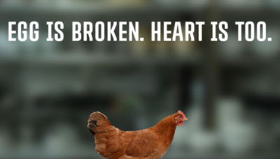 Egg is Broken. Heart is Too.
