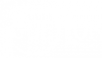 Rogue Lords