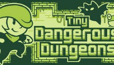 Tiny Dangerous Dungeons