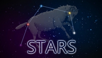 Stars