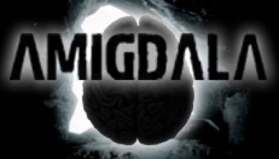 Amigdala