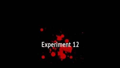 Experiment 12