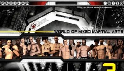 World of Mixed Martial Arts 3