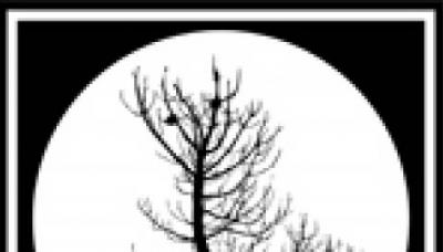 Wurm Online