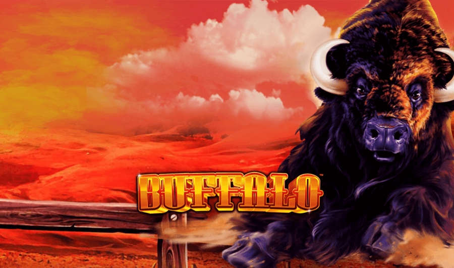 Buffalo Casino Game Free Play – what you need to know