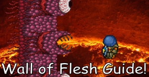 Terraria wall of flesh guide