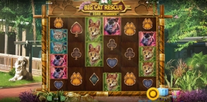Red Tiger Gaming Has Launched Big Cat Rescue Megaways