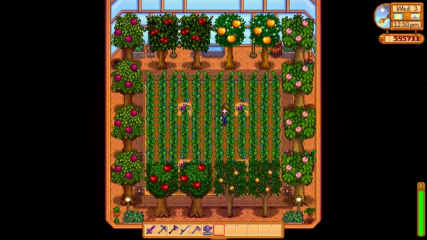 Stardew Valley Greenhouse