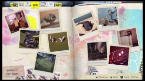 Life is Strange Episode 4 Optional Photo Collection