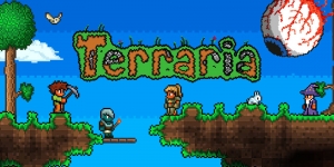 Terraria survival guide