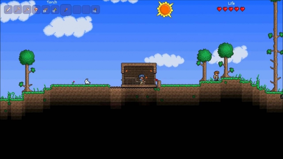 Terraria beginner, starter guide