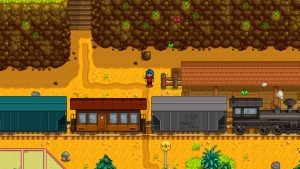 Stardew Valley Train